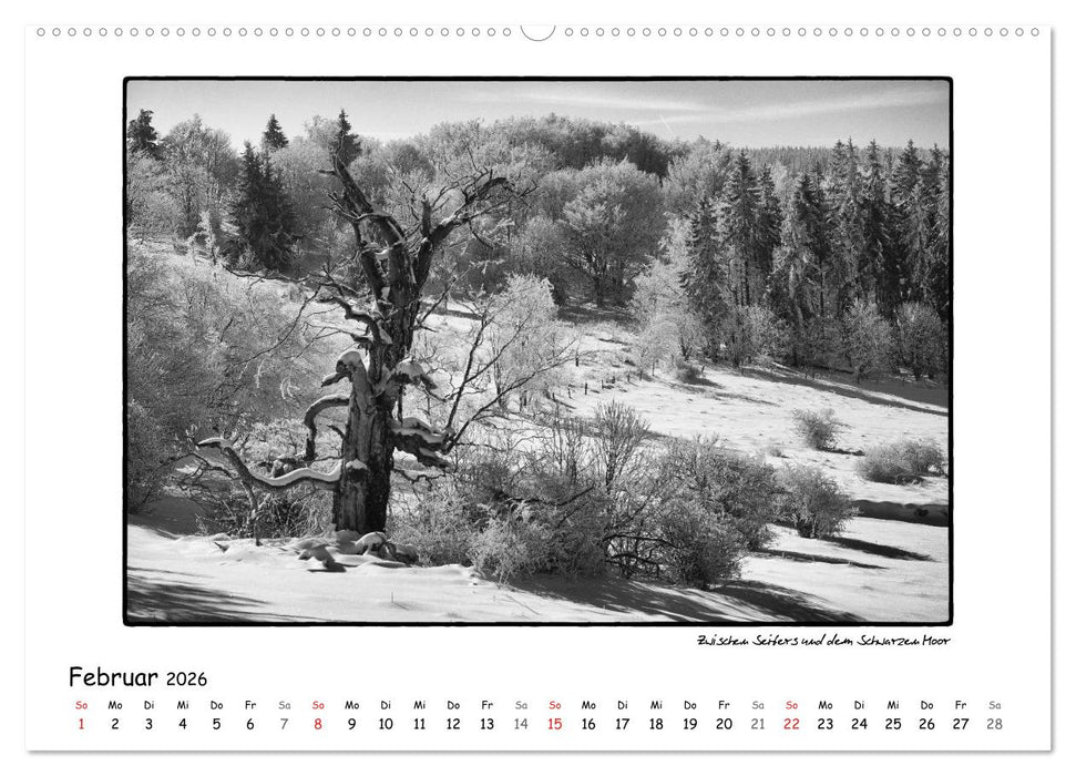 RHÖN SCHWARZ-WEISS (CALVENDO Wandkalender 2026)