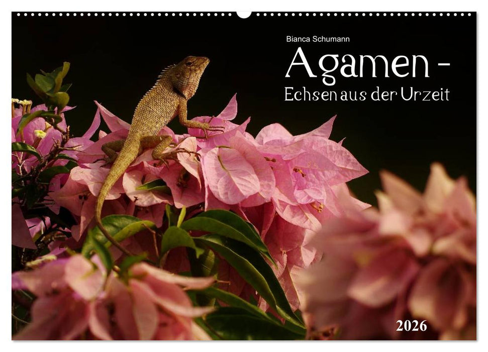 Agamen - Echsen aus der Urzeit (CALVENDO Wandkalender 2026)