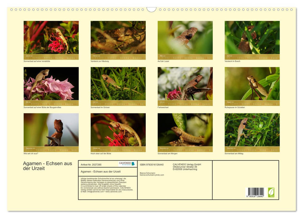 Agamen - Echsen aus der Urzeit (CALVENDO Wandkalender 2026)
