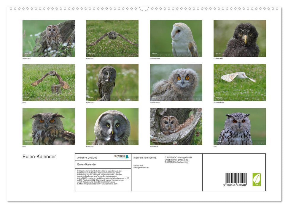 Eulen-Kalender (CALVENDO Premium Wandkalender 2026)