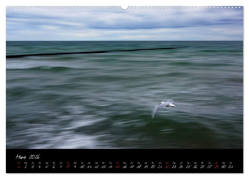 Sommer im Fischland-Darß-Zingst (CALVENDO Premium Wandkalender 2026)