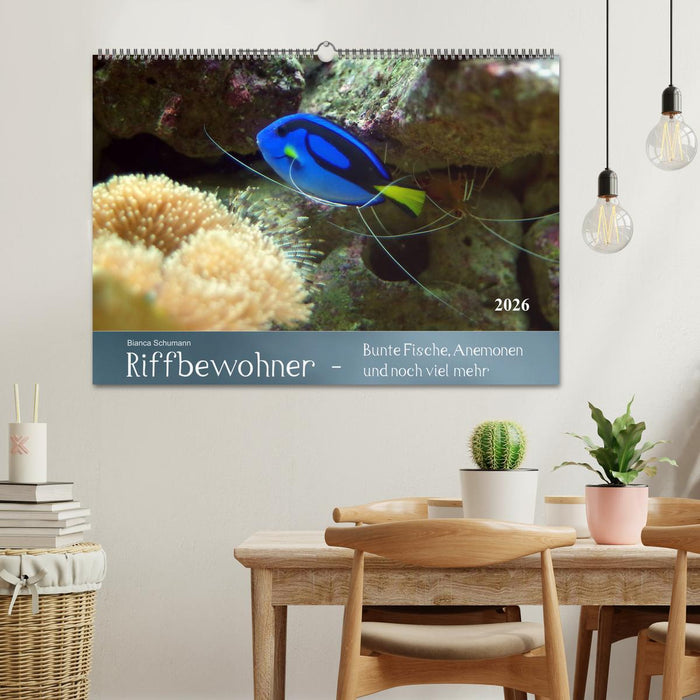 Riffbewohner - Bunte Fische, Anemonen und noch viel mehr (CALVENDO Wandkalender 2026)