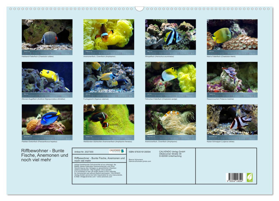Riffbewohner - Bunte Fische, Anemonen und noch viel mehr (CALVENDO Wandkalender 2026)