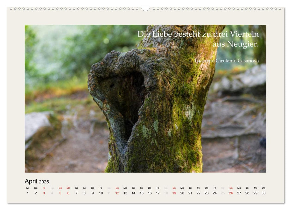 Hirnyoga (CALVENDO Wandkalender 2026)