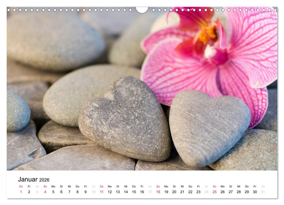 Mein Herz schlägt pink (CALVENDO Wandkalender 2026)