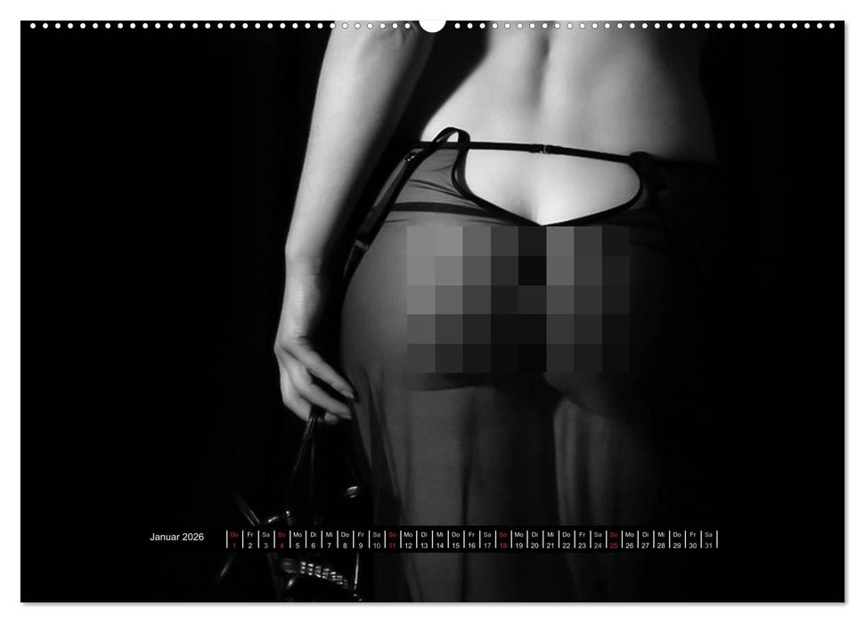 Die Kunst der Verführung (CALVENDO Wandkalender 2026)