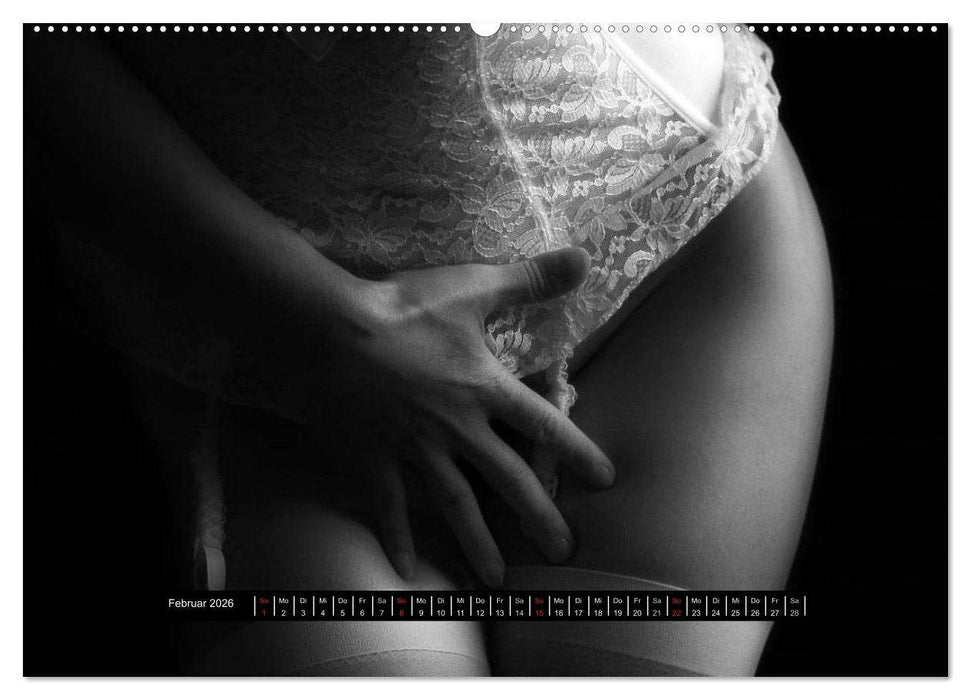 Die Kunst der Verführung (CALVENDO Wandkalender 2026)