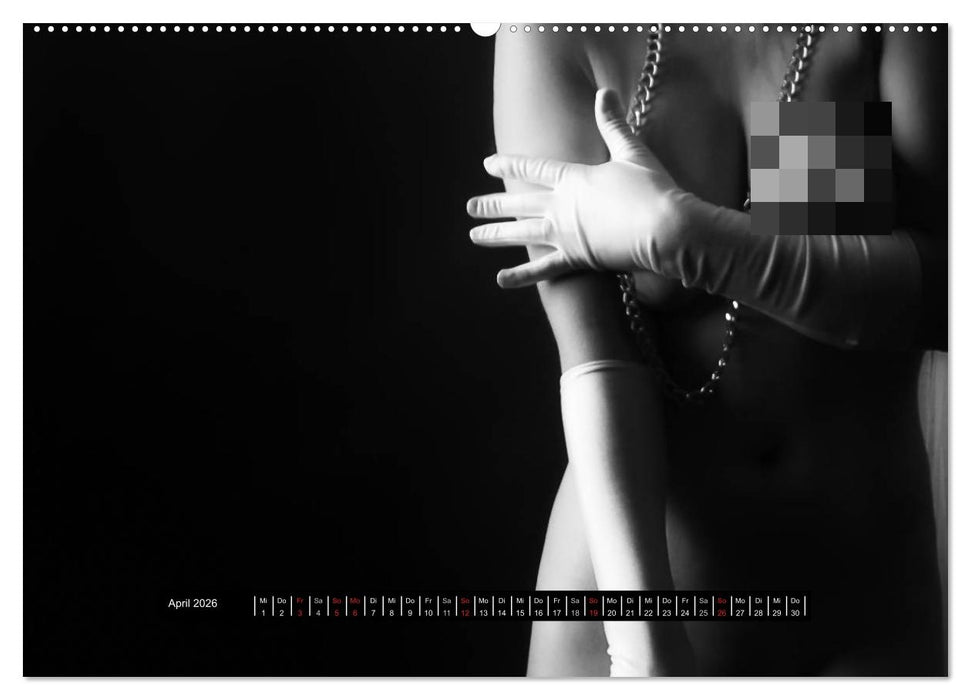 Die Kunst der Verführung (CALVENDO Wandkalender 2026)