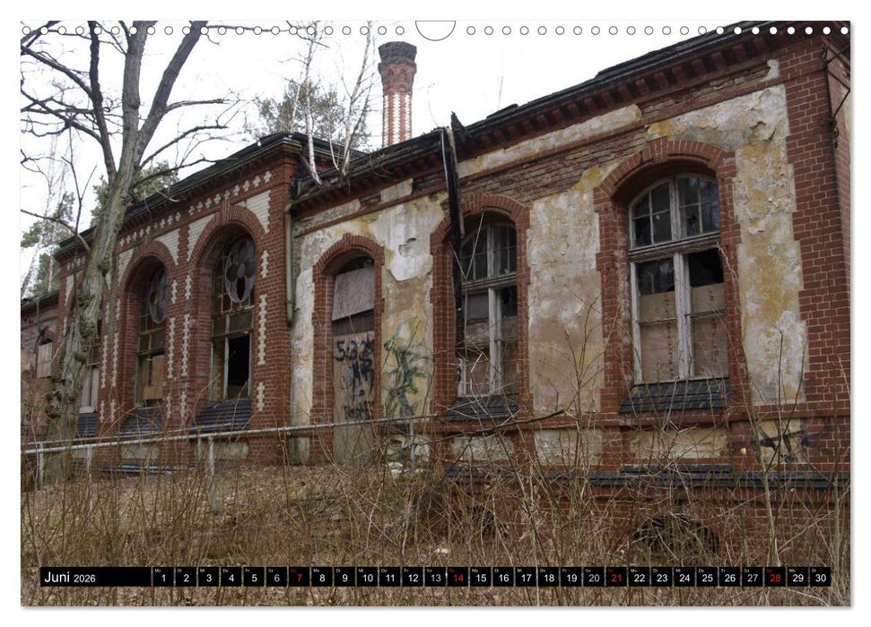 Beelitz Heilstätten-Faszination des Verfalls (CALVENDO Wandkalender 2026)