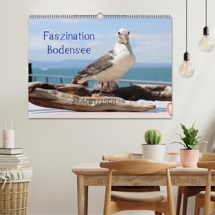 Faszination Bodensee (CALVENDO Wandkalender 2026)