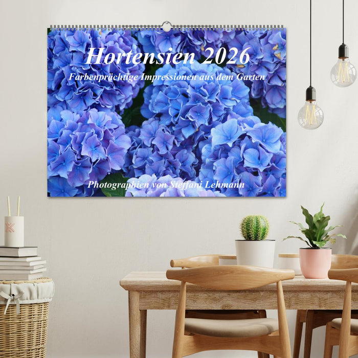 Hortensien 2026. Farbenprächtige Impressionen aus dem Garten (CALVENDO Wandkalender 2026)