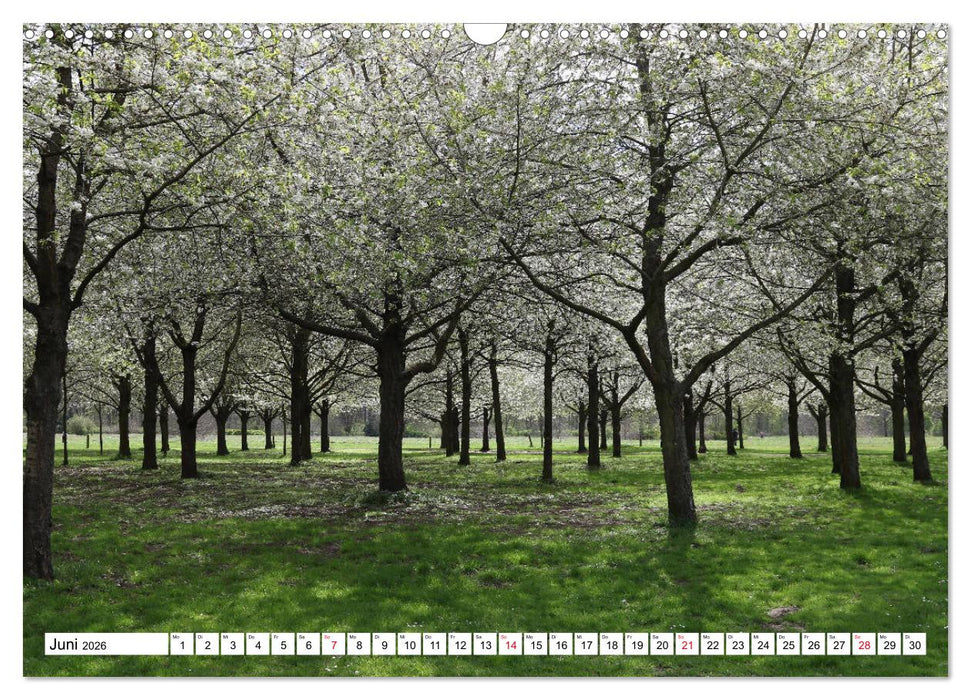 HANNOVER entdecken (CALVENDO Wandkalender 2026)