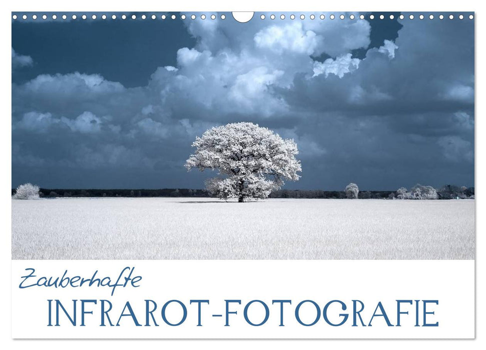 Zauberhafte Infrarot-Fotografie (CALVENDO Wandkalender 2026)