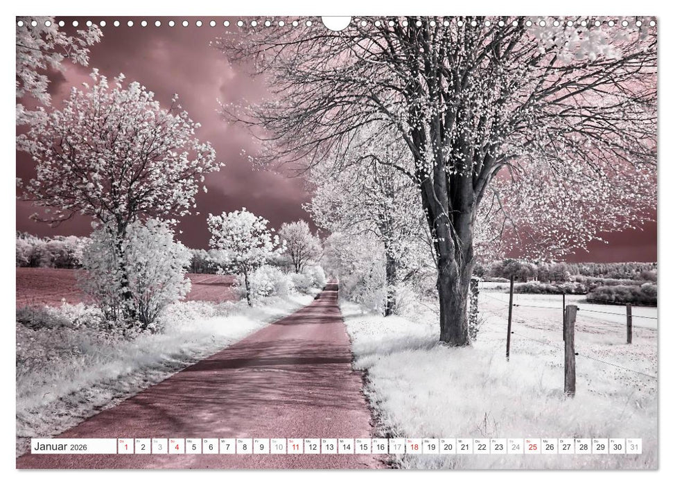 Zauberhafte Infrarot-Fotografie (CALVENDO Wandkalender 2026)