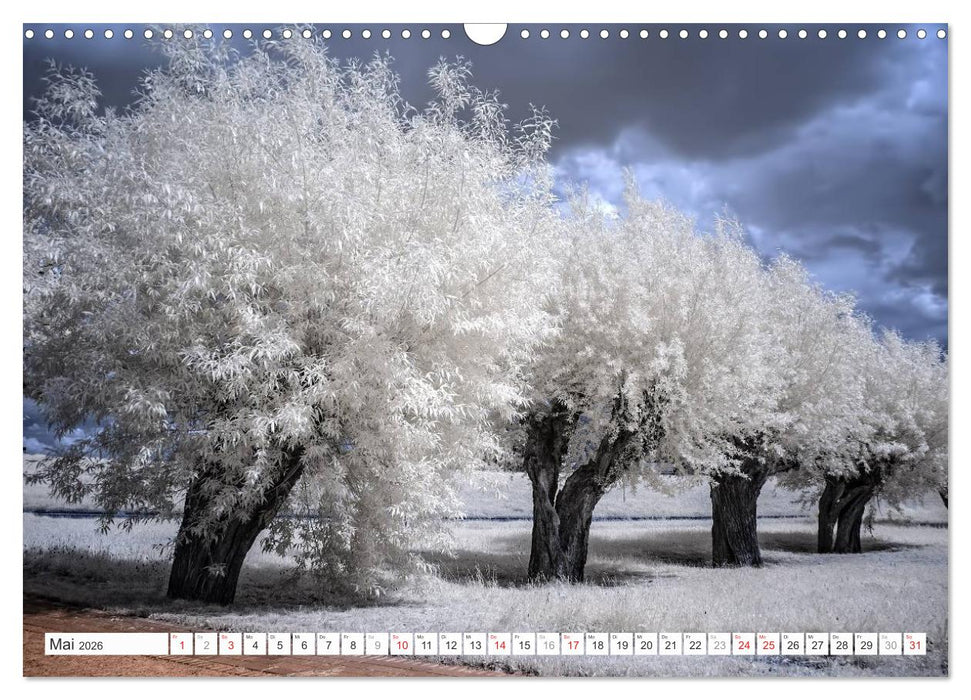 Zauberhafte Infrarot-Fotografie (CALVENDO Wandkalender 2026)
