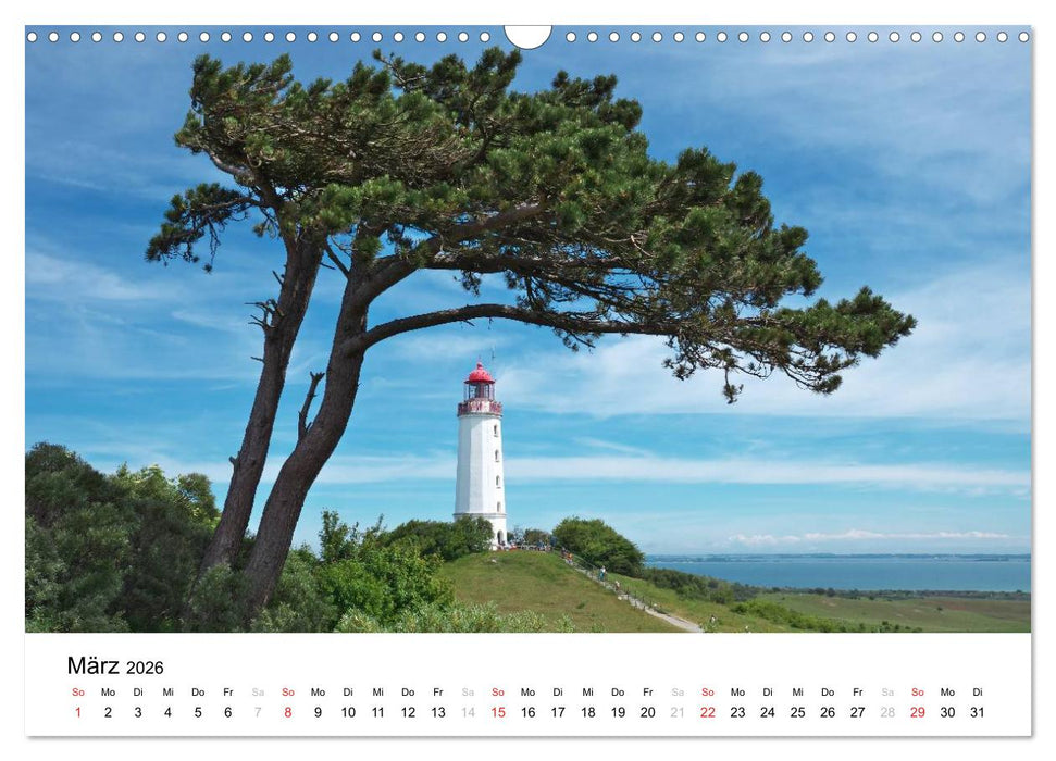 Rügen und Hiddensee (CALVENDO Wandkalender 2026)