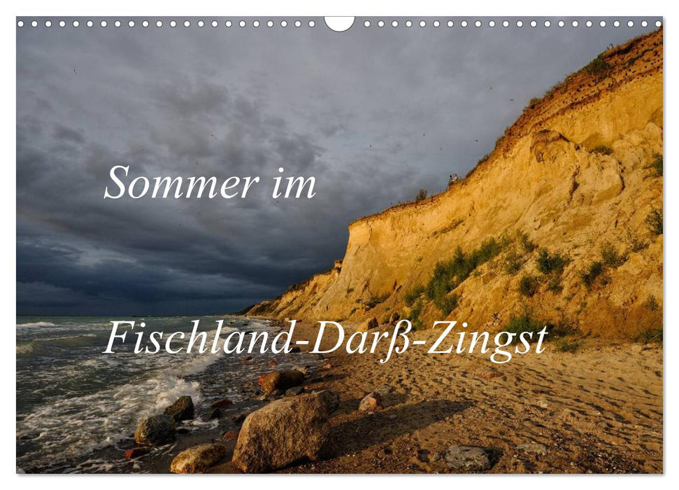 Sommer im Fischland-Darß-Zingst (CALVENDO Wandkalender 2026)