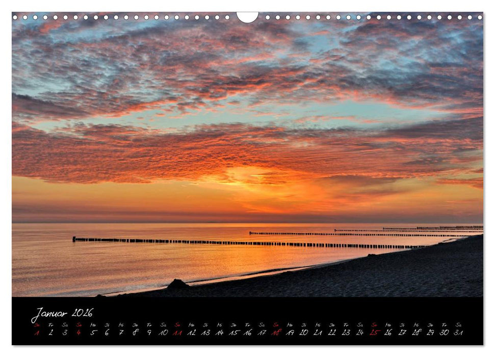 Sommer im Fischland-Darß-Zingst (CALVENDO Wandkalender 2026)