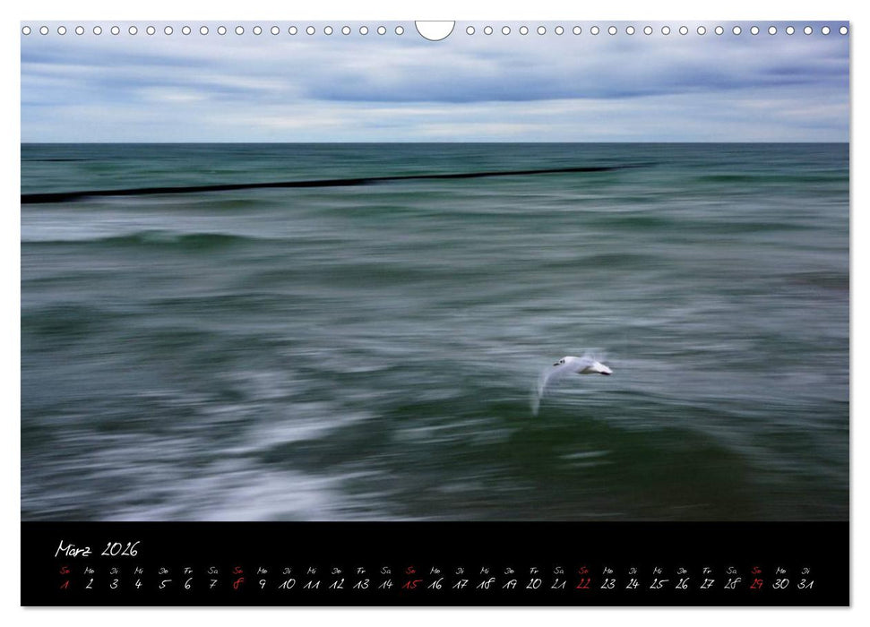 Sommer im Fischland-Darß-Zingst (CALVENDO Wandkalender 2026)