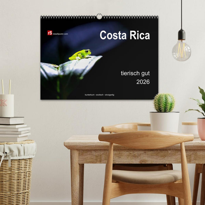 Costa Rica tierisch gut 2026 (CALVENDO Wandkalender 2026)