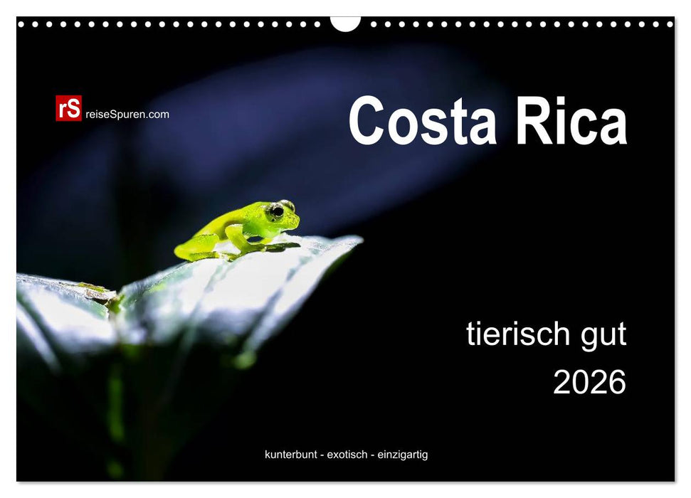Costa Rica tierisch gut 2026 (CALVENDO Wandkalender 2026)