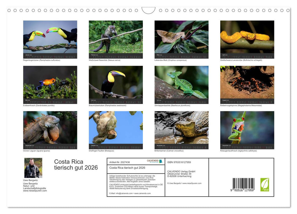 Costa Rica tierisch gut 2026 (CALVENDO Wandkalender 2026)