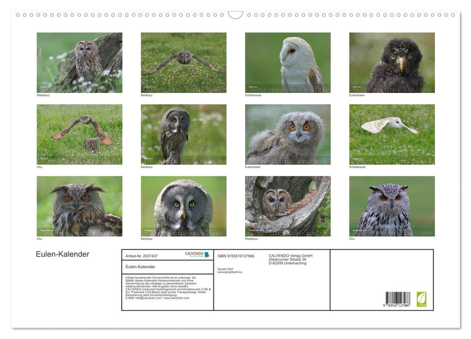 Eulen-Kalender (CALVENDO Wandkalender 2026)