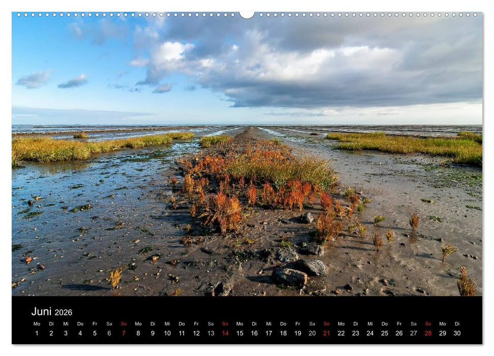 Sylt - Bilder einer Insel (CALVENDO Premium Wandkalender 2026)