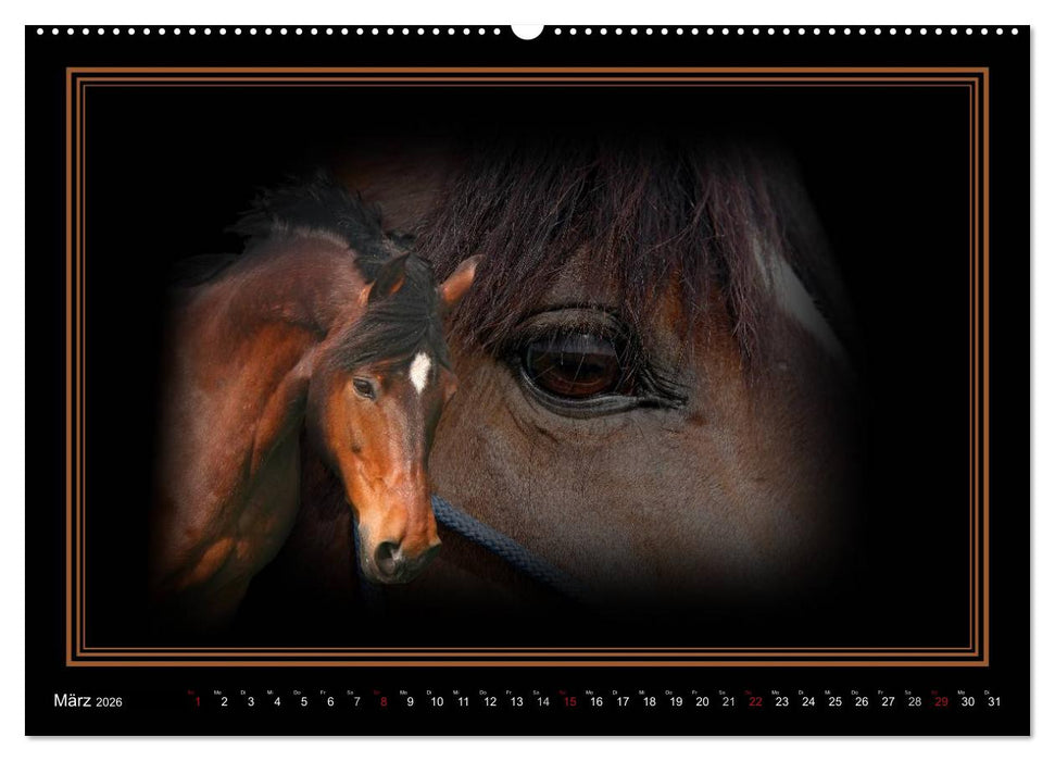 Traumpferde-ART-Collection (CALVENDO Premium Wandkalender 2026)