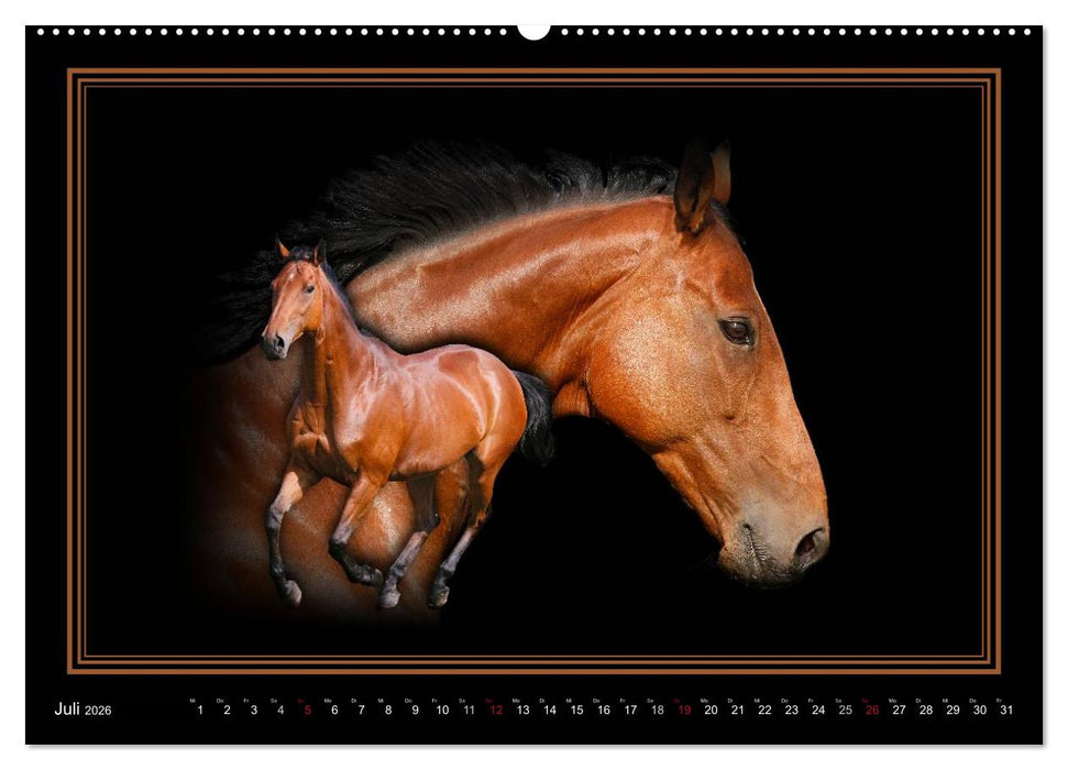 Traumpferde-ART-Collection (CALVENDO Premium Wandkalender 2026)