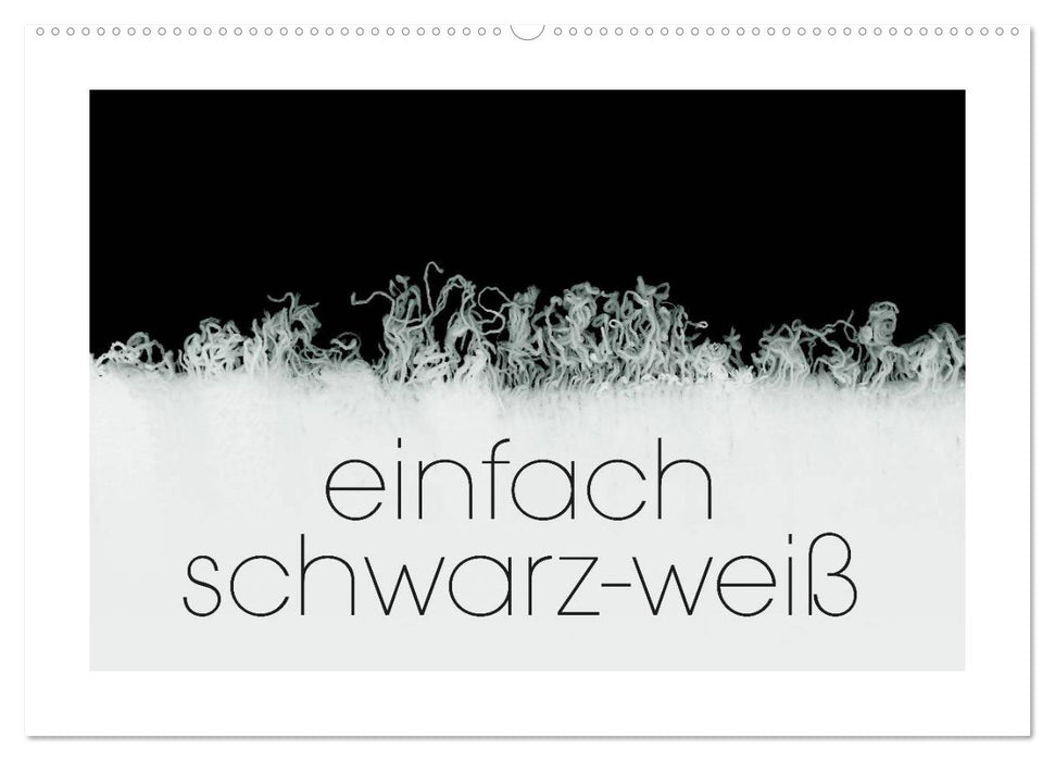 einfach schwarz-weiß (CALVENDO Wandkalender 2026)