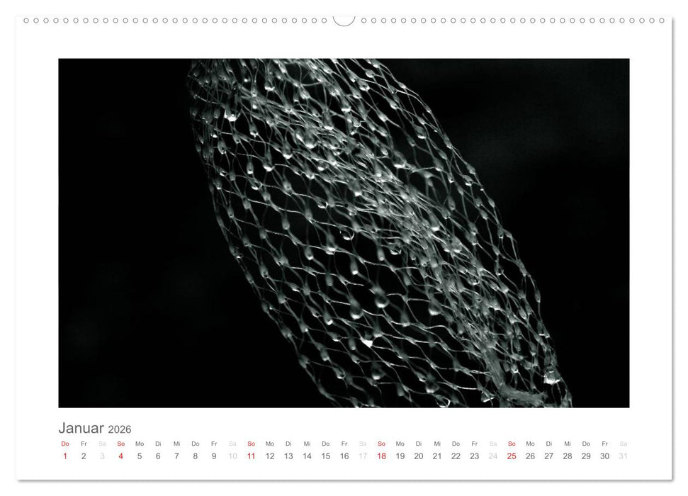 einfach schwarz-weiß (CALVENDO Wandkalender 2026)