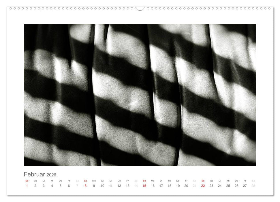 einfach schwarz-weiß (CALVENDO Wandkalender 2026)