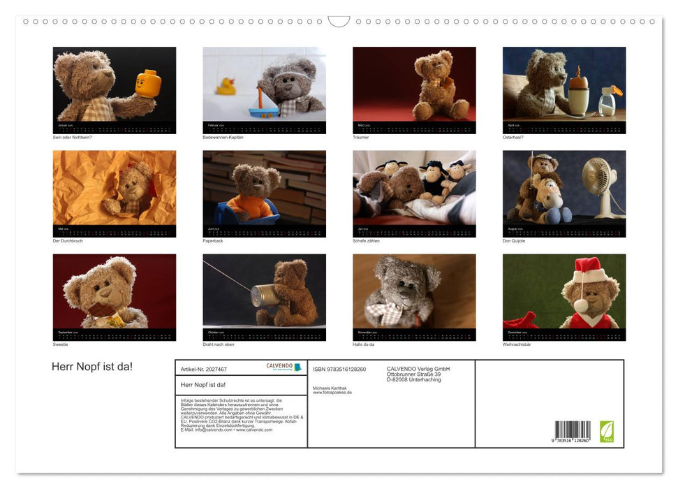 Herr Nopf ist da! (CALVENDO Wandkalender 2026)
