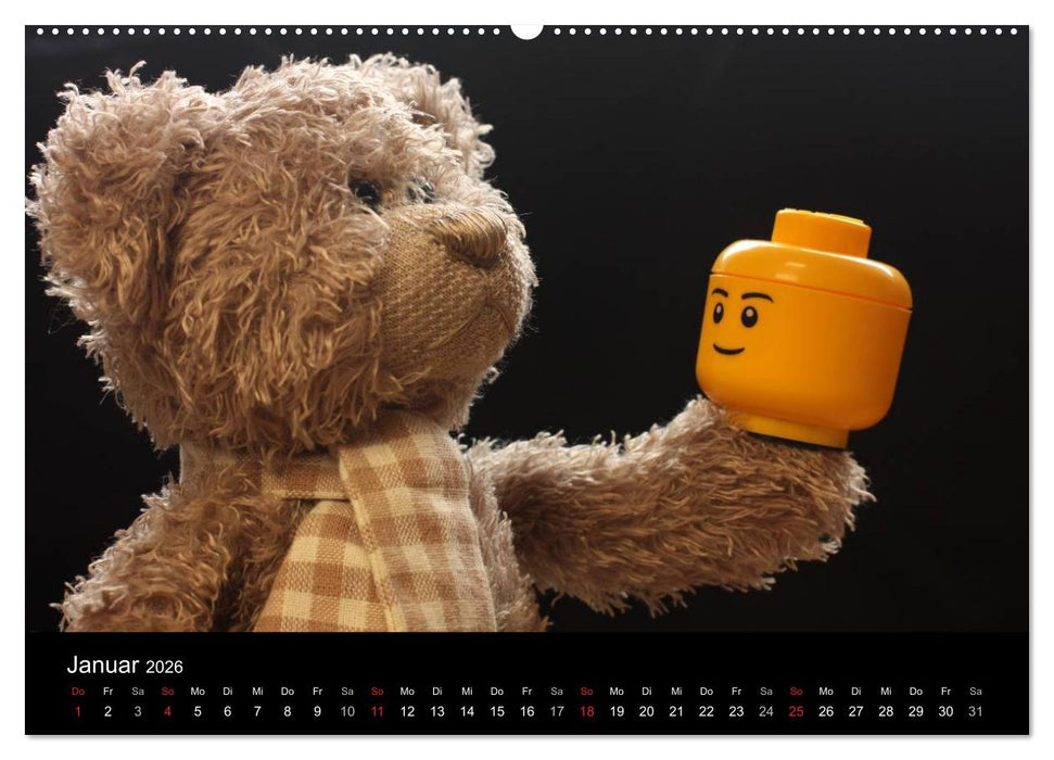 Herr Nopf ist da! (CALVENDO Wandkalender 2026)