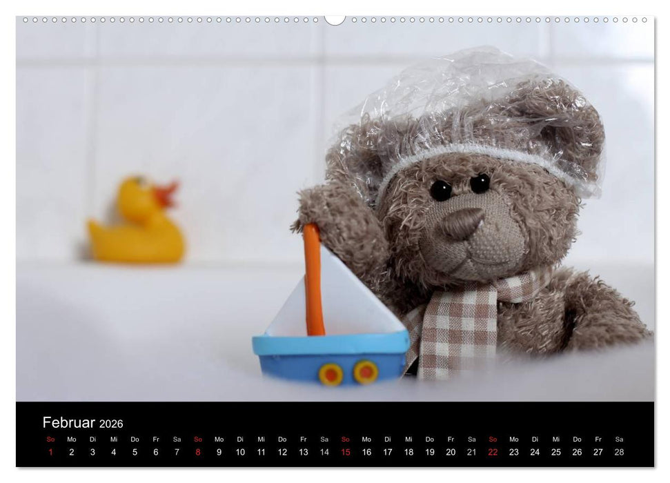 Herr Nopf ist da! (CALVENDO Wandkalender 2026)