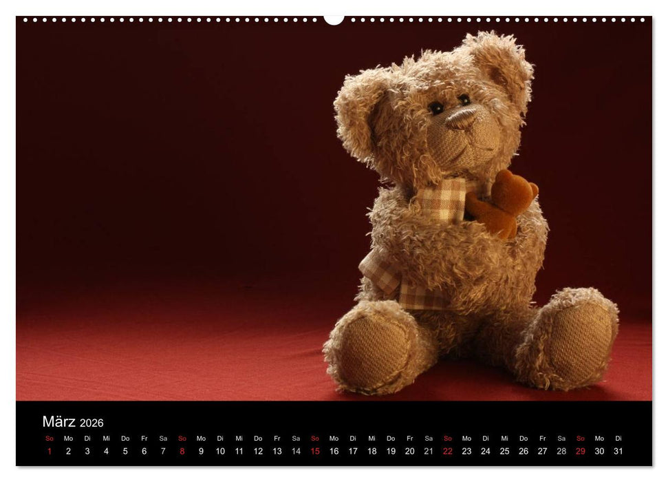 Herr Nopf ist da! (CALVENDO Wandkalender 2026)