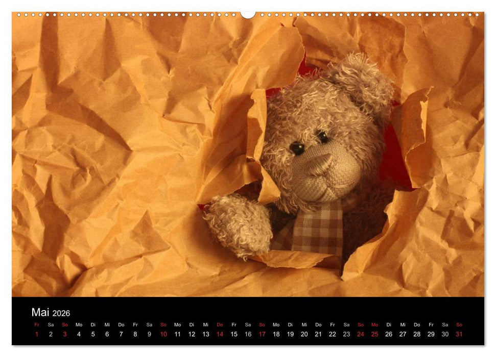 Herr Nopf ist da! (CALVENDO Wandkalender 2026)