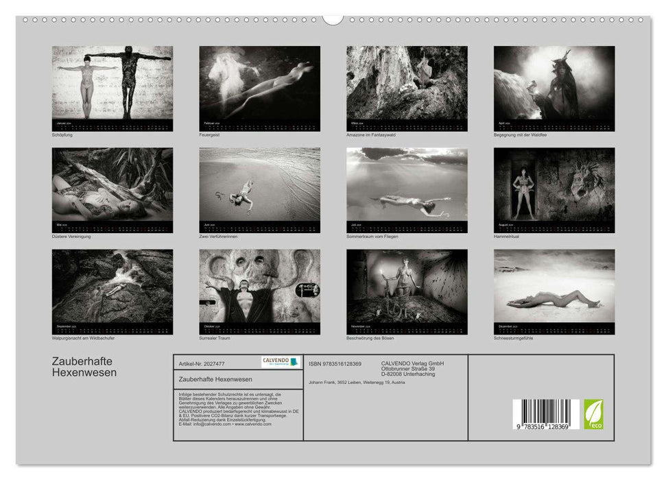 Zauberhafte Hexenwesen (CALVENDO Premium Wandkalender 2026)