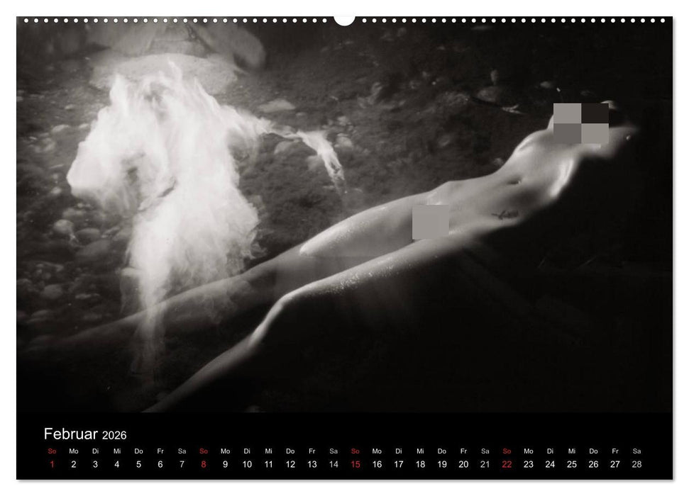 Zauberhafte Hexenwesen (CALVENDO Premium Wandkalender 2026)