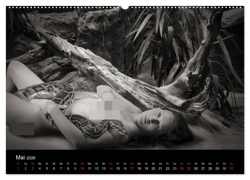 Zauberhafte Hexenwesen (CALVENDO Premium Wandkalender 2026)