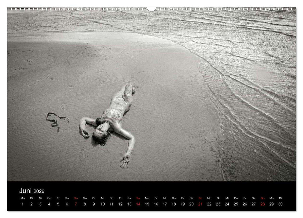 Zauberhafte Hexenwesen (CALVENDO Premium Wandkalender 2026)