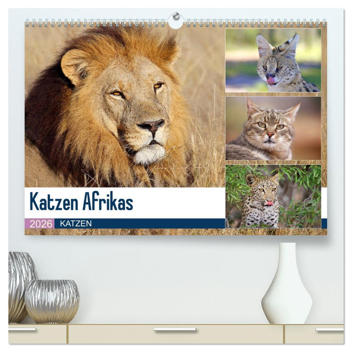 Katzen Afrikas (CALVENDO Premium Wandkalender 2026)