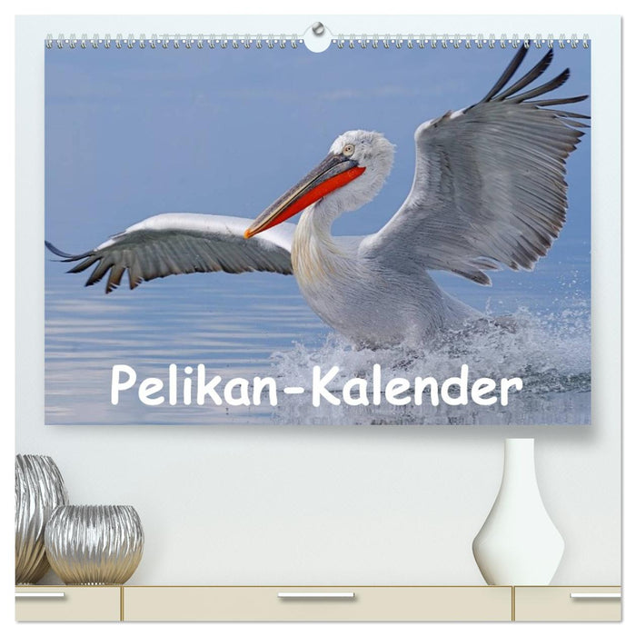 Pelikan-Kalender (CALVENDO Premium Wandkalender 2026)