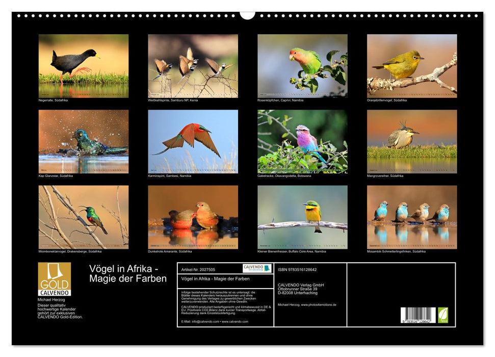 Vögel in Afrika - Magie der Farben (CALVENDO Wandkalender 2026)