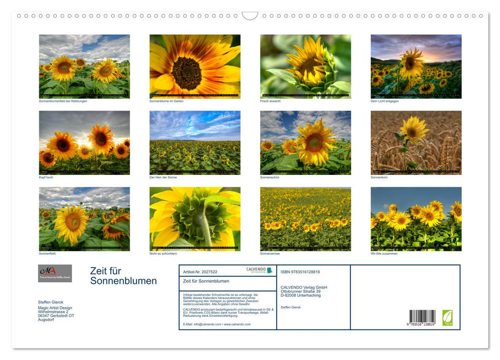 Zeit für Sonnenblumen (CALVENDO Wandkalender 2026)