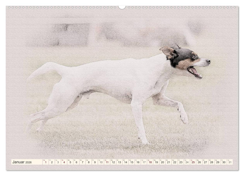 Bodeguero Andaluz 2026 (CALVENDO Premium Wandkalender 2026)