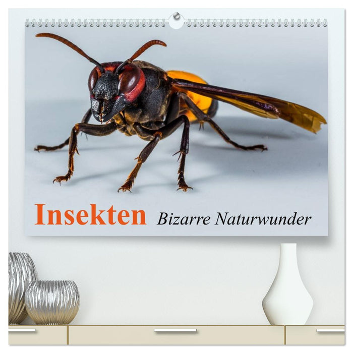 Insekten • Bizarre Naturwunder (CALVENDO Premium Wandkalender 2026)