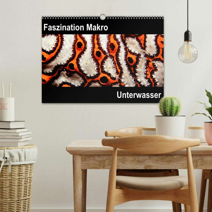 Faszination Makro Unterwasser (CALVENDO Wandkalender 2026)