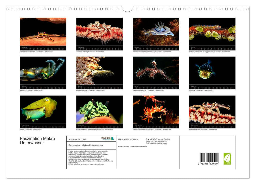 Faszination Makro Unterwasser (CALVENDO Wandkalender 2026)